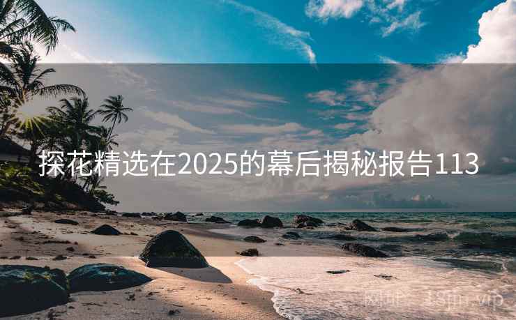探花精选在2025的幕后揭秘报告113  第2张