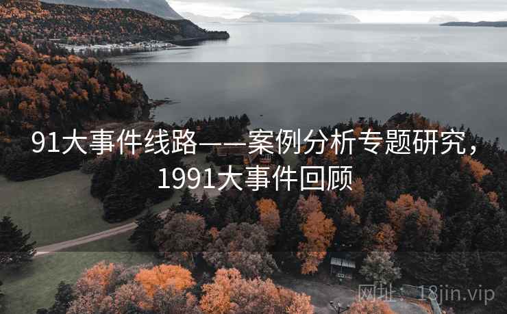 91大事件线路——案例分析专题研究，1991大事件回顾  第1张
