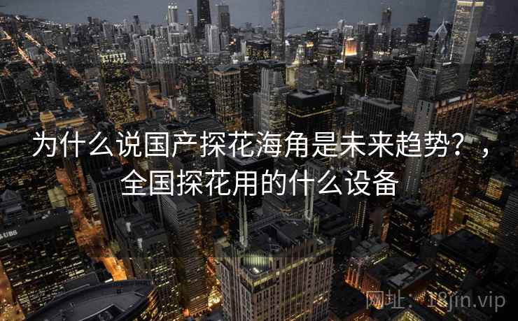 为什么说国产探花海角是未来趋势？，全国探花用的什么设备  第1张