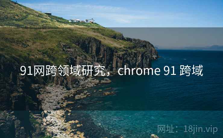 91网跨领域研究，chrome 91 跨域  第1张