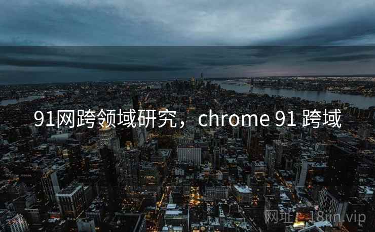91网跨领域研究，chrome 91 跨域  第2张