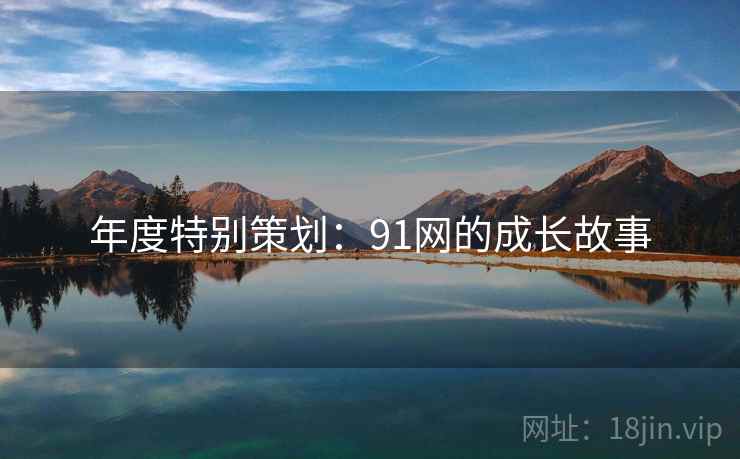 年度特别策划：91网的成长故事  第1张