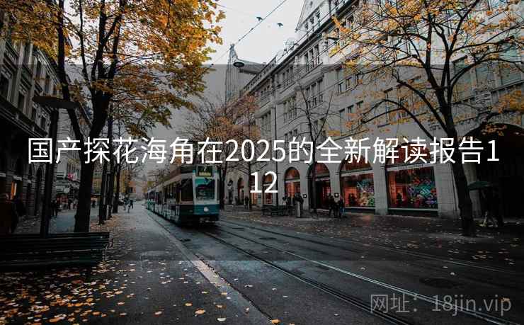 国产探花海角在2025的全新解读报告112  第2张
