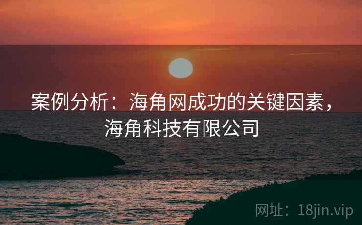案例分析：海角网成功的关键因素，海角科技有限公司  第1张