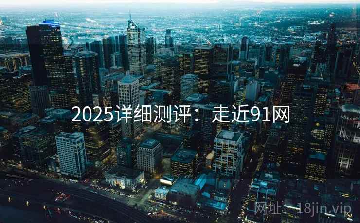 2025详细测评：走近91网  第2张