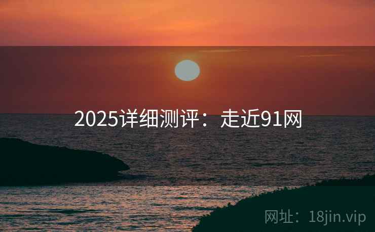 2025详细测评：走近91网  第1张