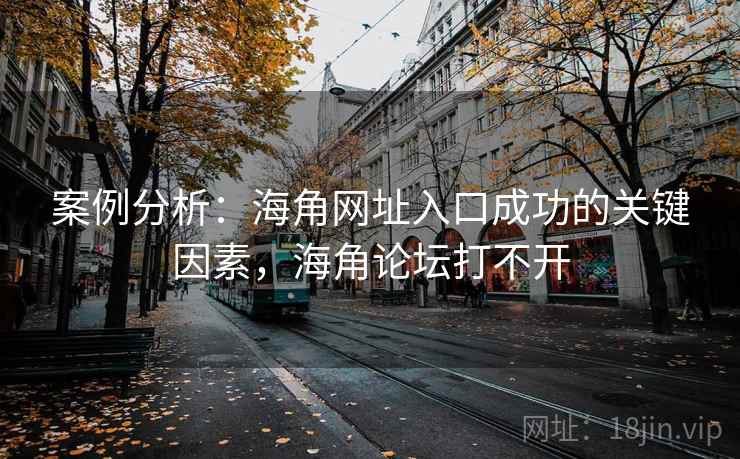 案例分析：海角网址入口成功的关键因素，海角论坛打不开  第2张