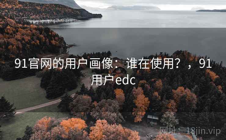 91官网的用户画像：谁在使用？，91用户edc  第2张