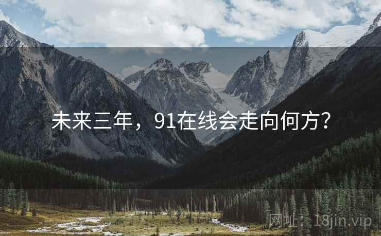 未来三年，91在线会走向何方？  第1张