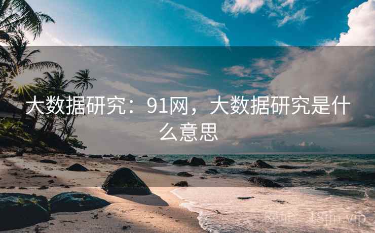 大数据研究：91网，大数据研究是什么意思  第1张