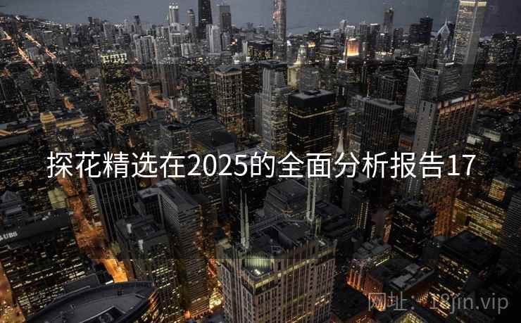 探花精选在2025的全面分析报告17 第1张 探花精选在2025的全面分析报告17 第1张