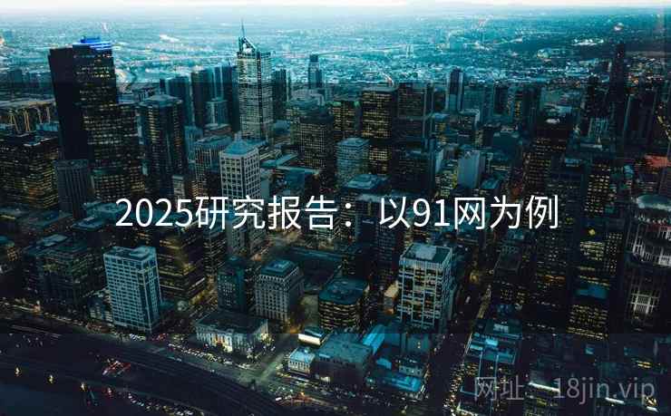 2025研究报告:以91网为例 第1张 2025研究报告:以91网为例 第1张